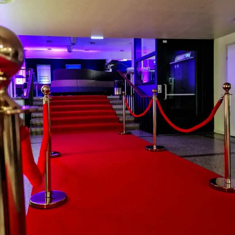 Ekami Gaala 2024 sisääntulo